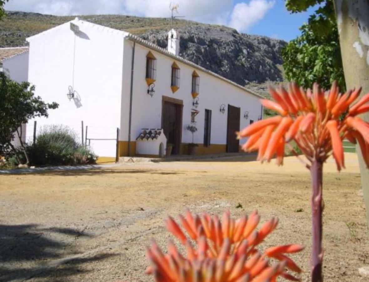 Complejo Cortijo Rural El Puntal Villa Teba ภายนอก รูปภาพ